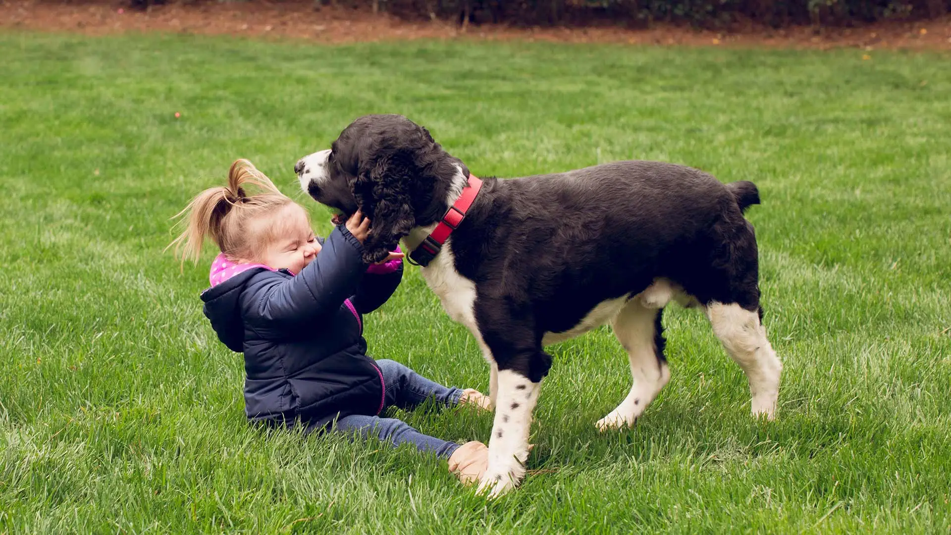 A girl and a dog playing on a green lawn that receives regular lawn care in Roswell, GA.