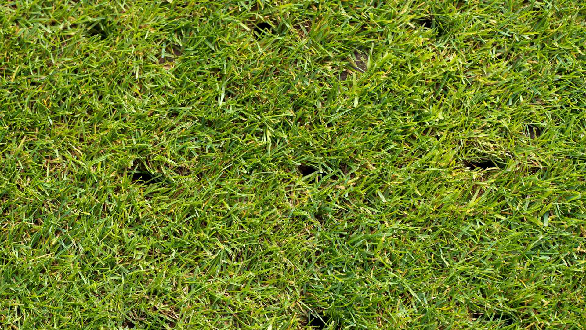 Don’t Let Spring Pass Without Aerating Your Warm-Season Grass