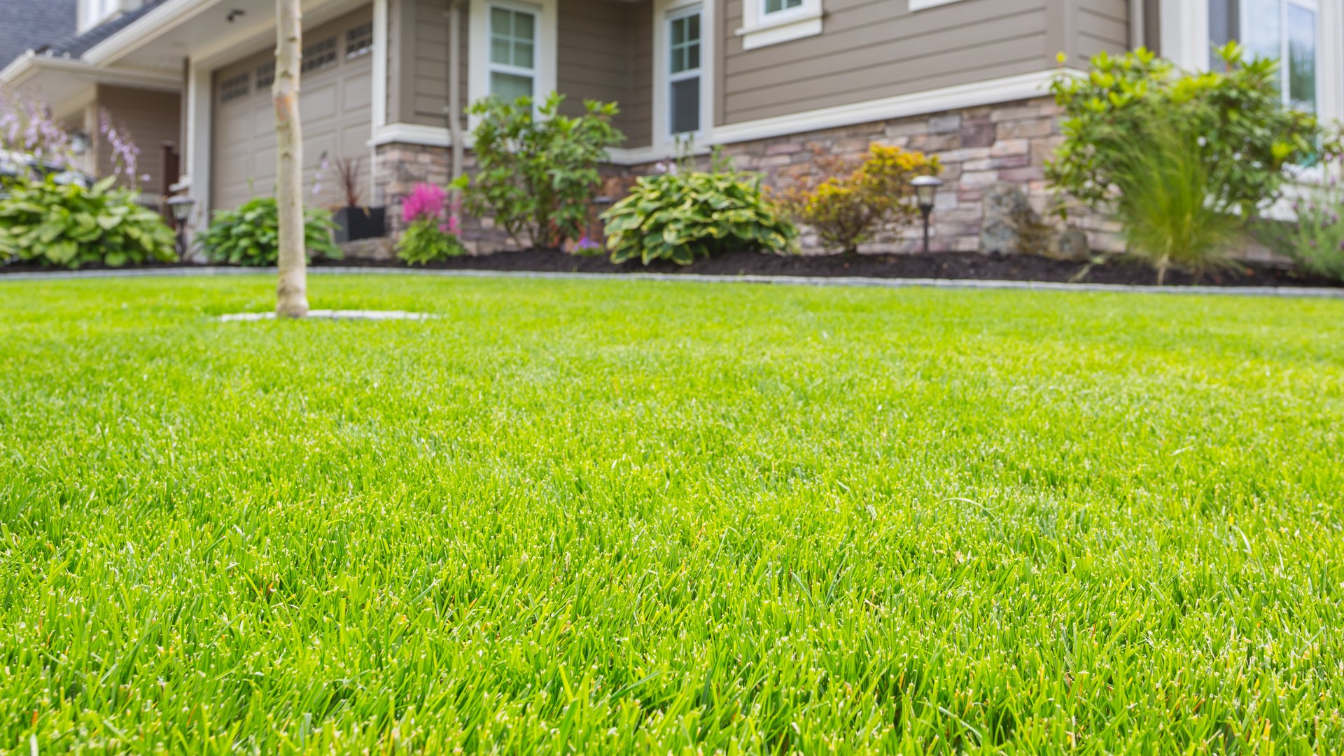 3 Lawn Care Services to Schedule in Spring if You Have Warm-Season Grass