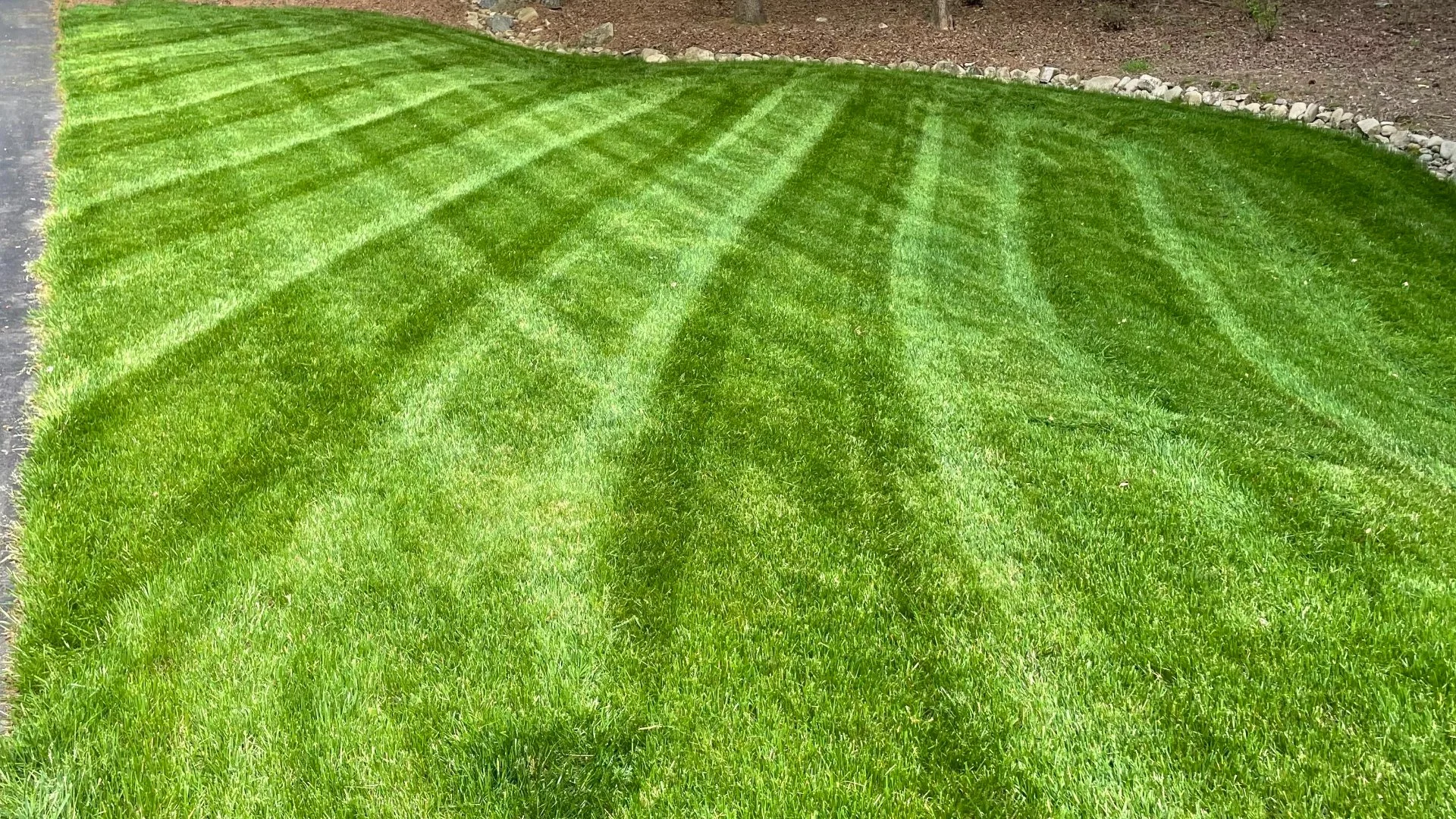 Fertilization & Weed Control & Lime! Fall Lawn Care For Fescue Grasses