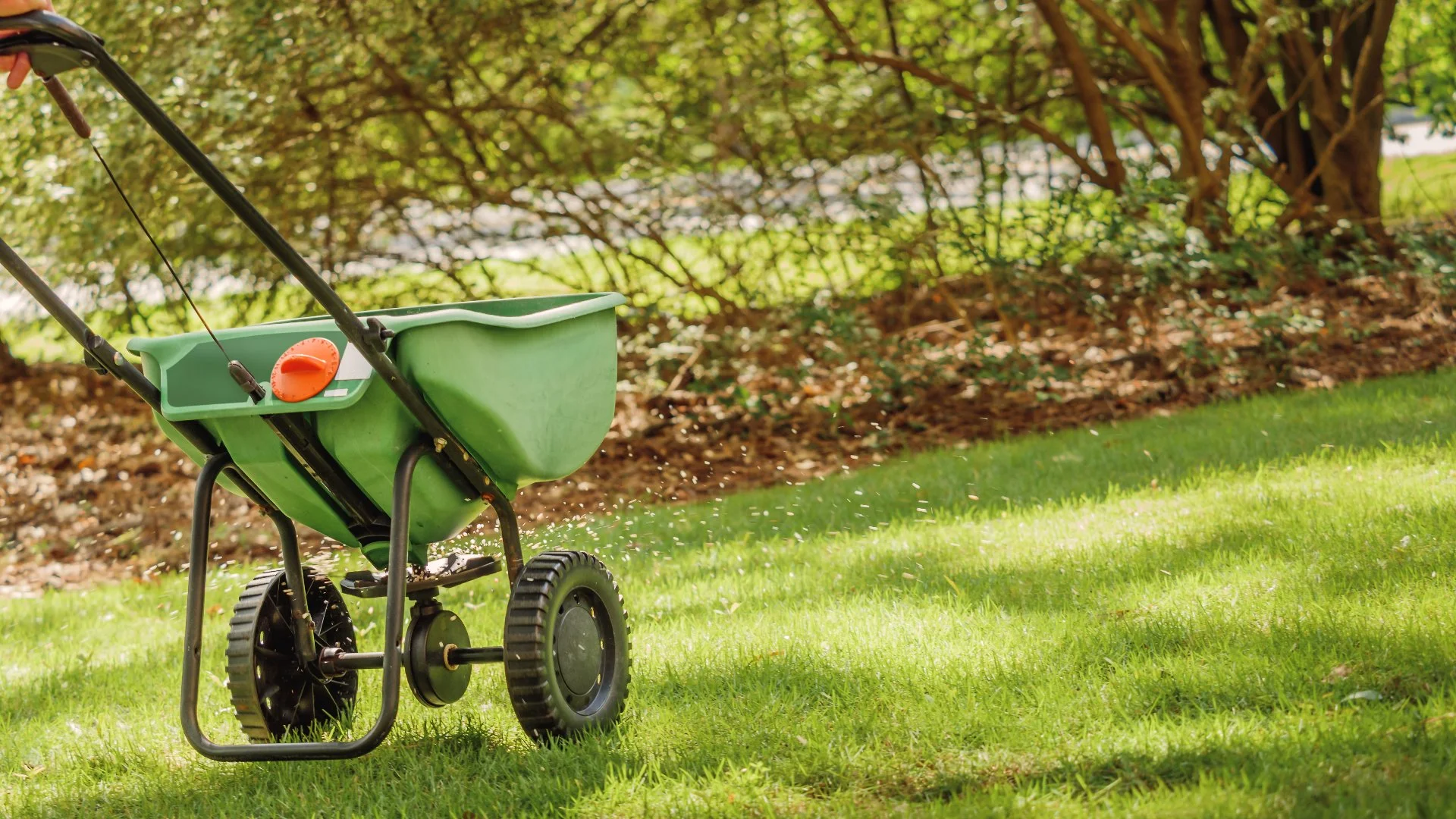 Should I Use Liquid or Granular Fertilizer for My Warm-Season Lawn in Georgia?