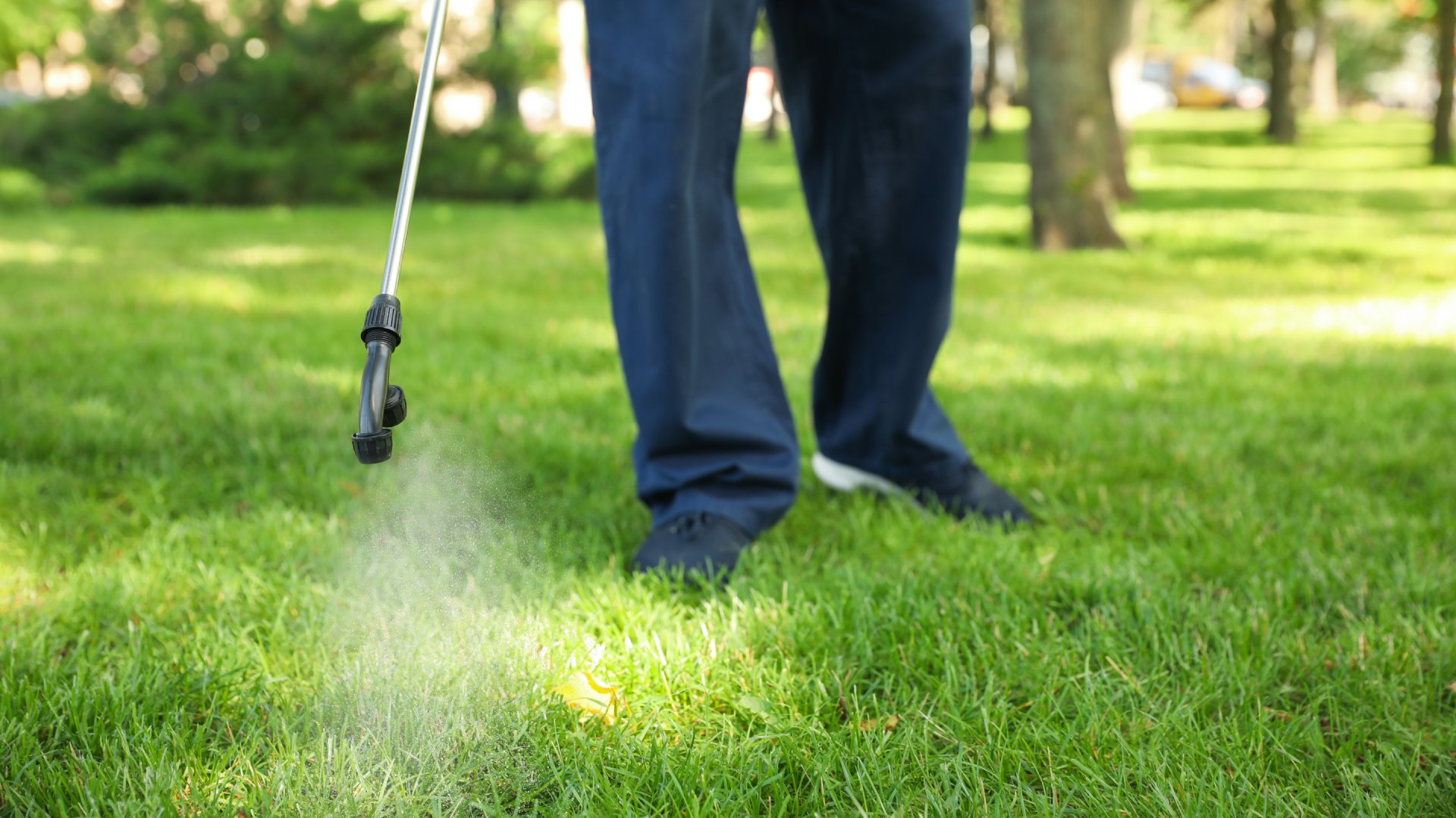 Pre-Emergent Weed Control 101 - What Is It & When Should It Be Applied?