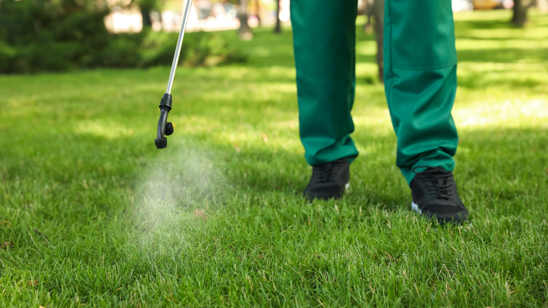 Pre-Emergent Weed Control Is Crucial for Your Lawn as We Head Into Winter