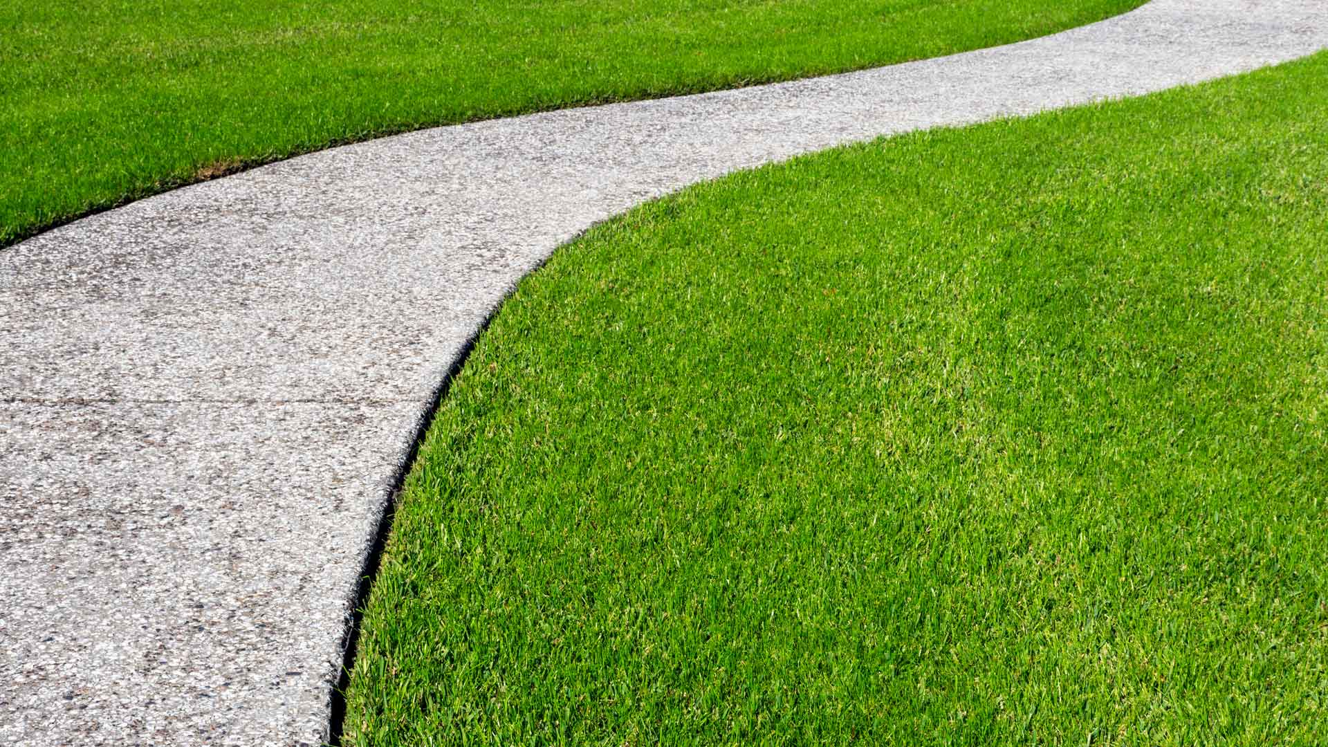What Is the Best Weed Control Schedule for Lawns With Zoysia Grass?