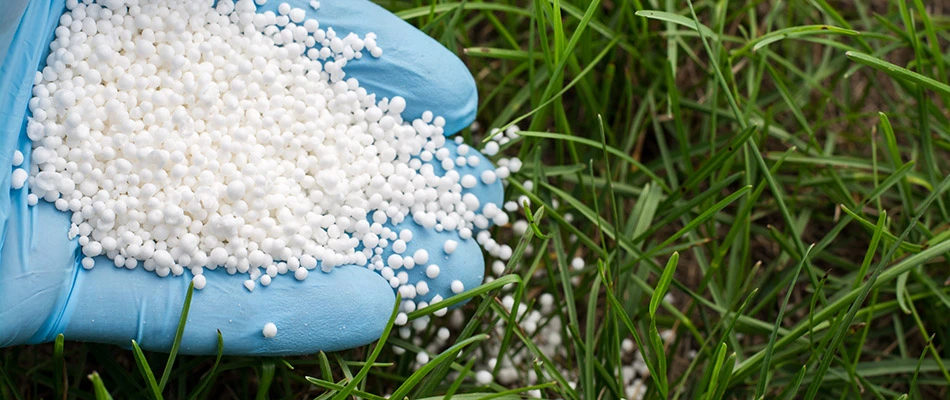 Fertilizer FAQs: What You Might Ask Us
