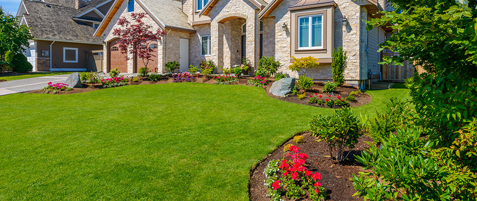 7 Must Haves for the Best Lawn