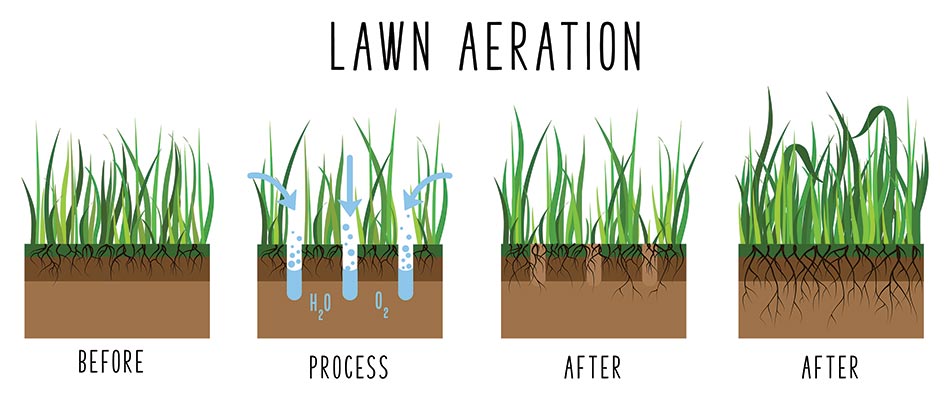 Lawn core aeration diagram and infographic for Woodstock, GA.