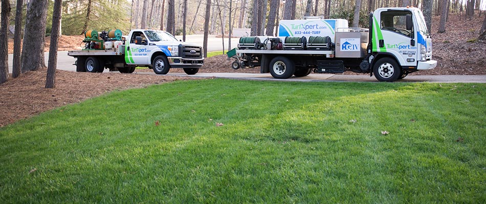 Lawn with core aeration and overseeding treatments in Alpharetta, GA.
