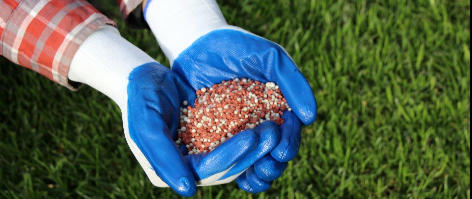 How Long Should You Keep Your Pets Off Your Lawn After Its Been   Blog Granular Fertilizer For Lawn 