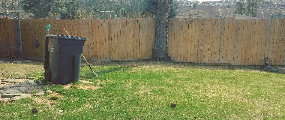 A rake and a trash left on our client's backyard in Woodstock, GA after aeration core cleanup. 