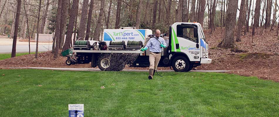 Healthy lawn with regular fertilizer treatments in Alpharetta, GA.