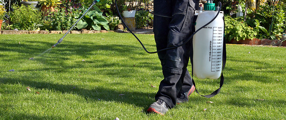 Professional spraying weed control treatment to a lawn near Marietta, GA.