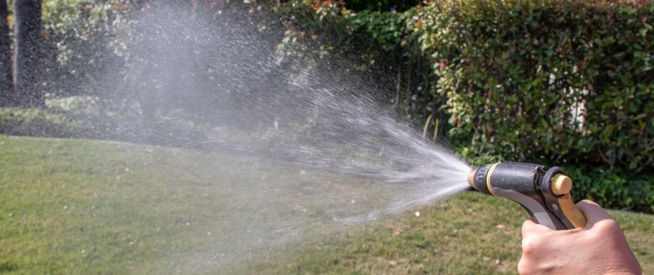 Professional applying pesticide treatment to lawn in Woodstock, GA.