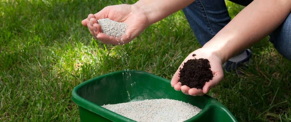 Showcasing fertilizer from bucket beside handful of rich soil near Woodstock, GA.